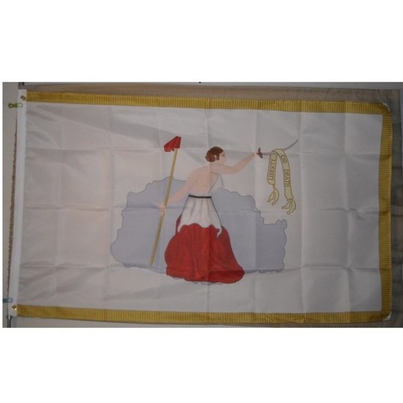 San Jacinto Liberty Texas Revolution 3' x 5' White Flag Banner Mexico Lone Star - Picture 1 of 2